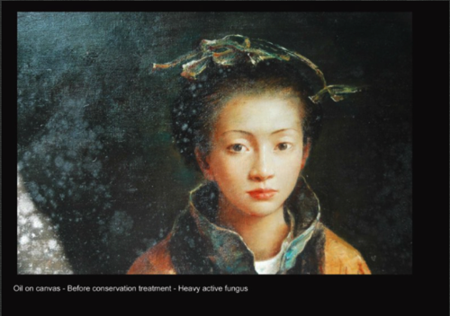 Oil on canvas - Before conservation - Heavy active fungus